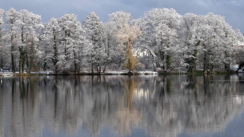 Gli alberi coperti di neve sul lago Tegel, a Berlino