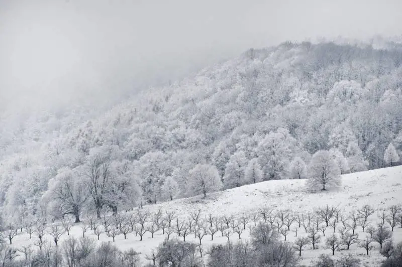 Boschi e coltivazioni coperte di neve a Bissingen