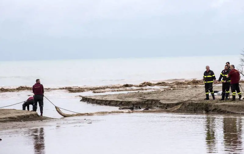Fiumicino, sequestrato oleodotto: sversava kerosene in mare