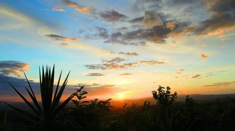 Foreste da vivere nel cuore verde del Costa Rica