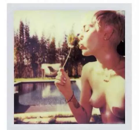 Immagine gallery