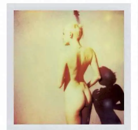 Immagine gallery