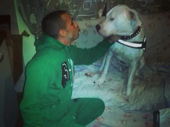 Uccide un uomo a calci e pugni perché aveva accarezzato il cane