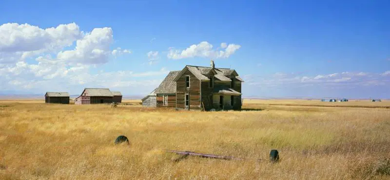 Immagine gallery