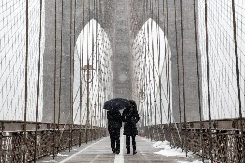 Immagine gallery