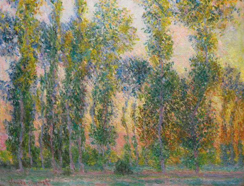 Immagine gallery