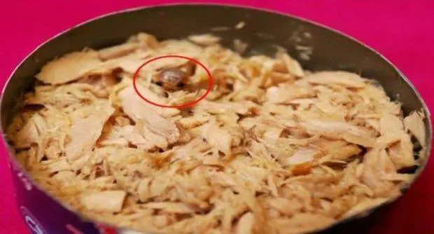 Compra tonno in scatola e trova un parassita che mangia la lingua