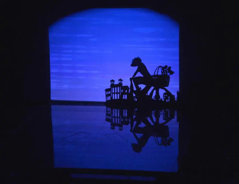 Immagine gallery