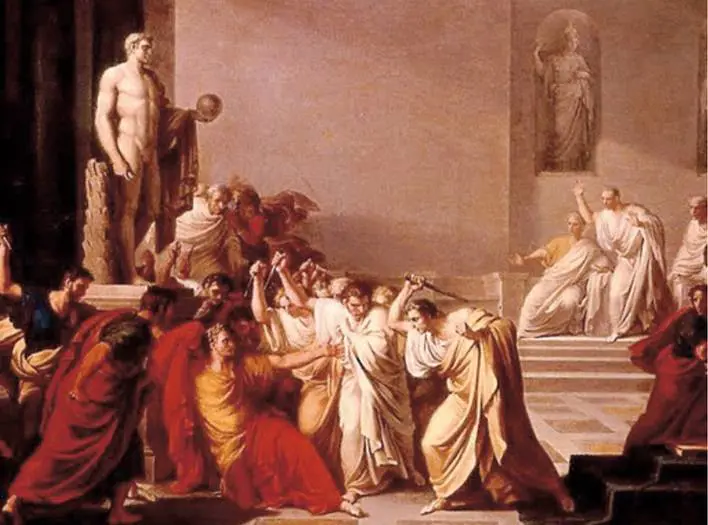 Delfino o squalo? Il doppio volto del vero traditore