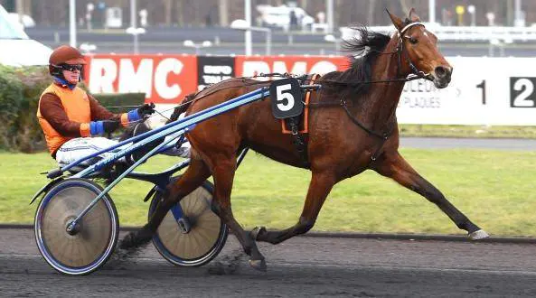 Sorpresona a Parigi: una cavalla milanese vince il Prix d'Orthez