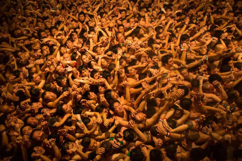 Immagine gallery