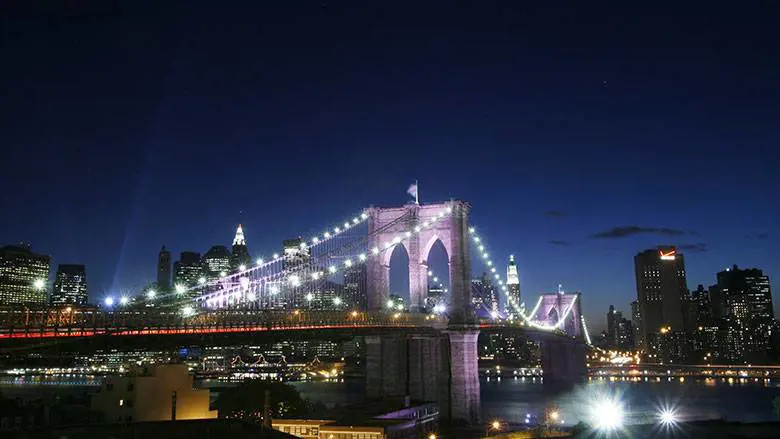 A New York uno su due non parla inglese: il Comune assume traduttori