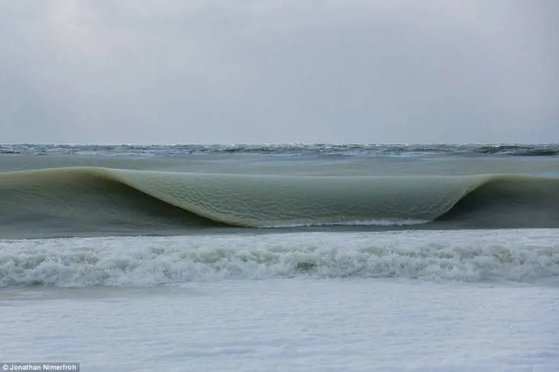 Immagine gallery