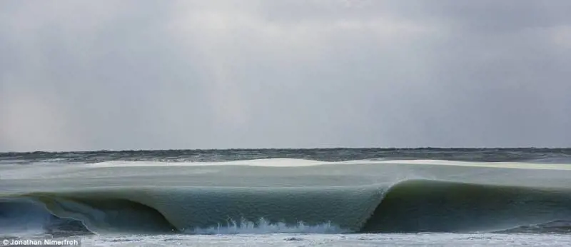 Immagine gallery
