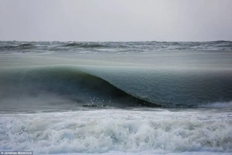 Immagine gallery