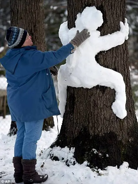 Immagine gallery