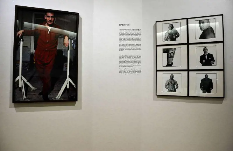 Immagine gallery