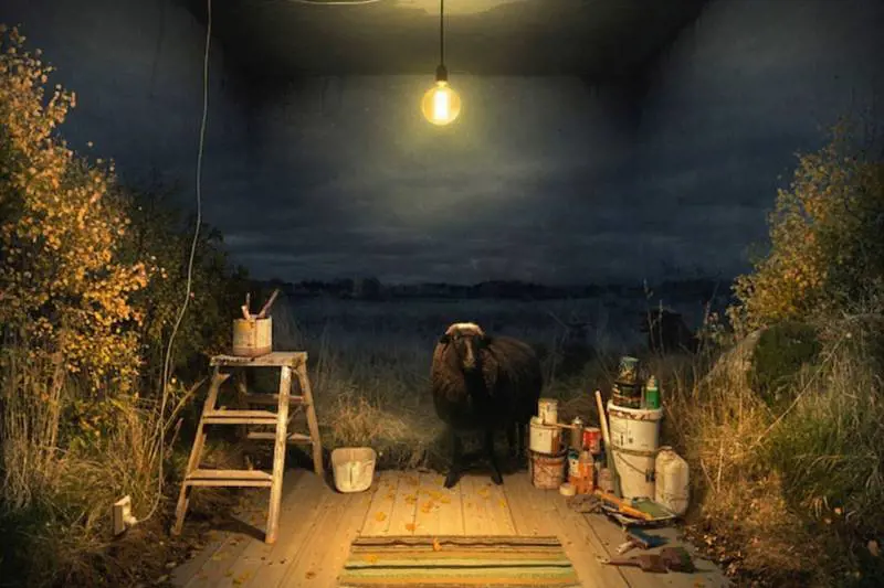 Immagine gallery