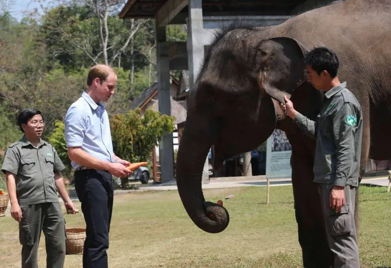 La gaffe del principe William ​che imbarazza la casa reale