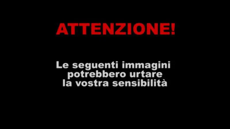 Immagine gallery