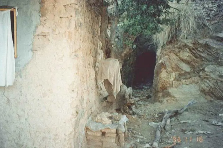 Immagine gallery