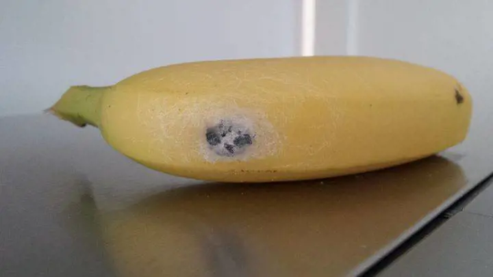 Compra un casco di banane al supermercato: trova un ragno pericoloso