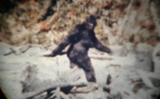 "Lo Yeti? È solo un orso": dna smonta la leggenda