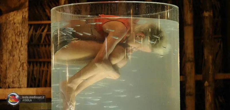 Immagine gallery