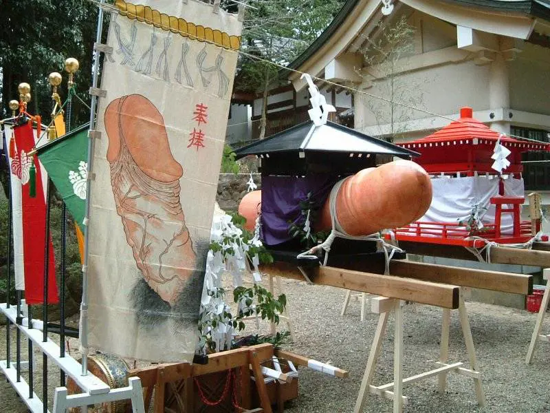 Immagine gallery