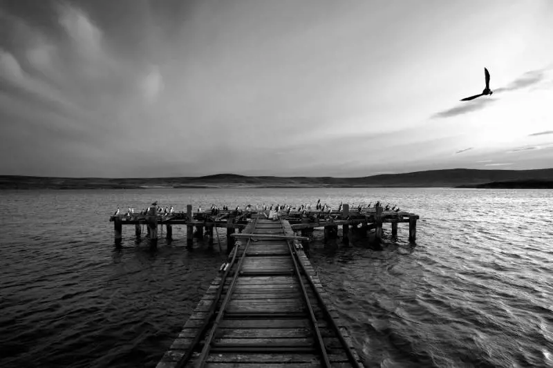 Immagine gallery