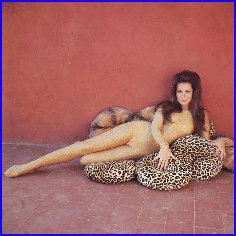 Immagine gallery