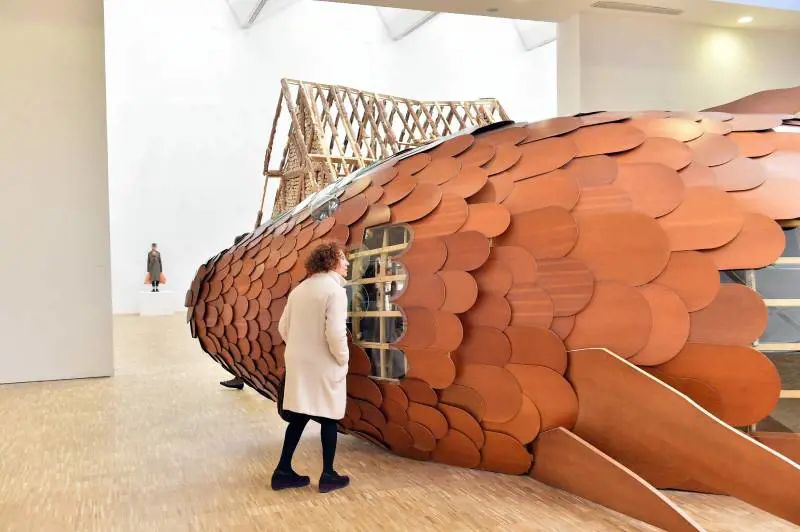 Immagine gallery