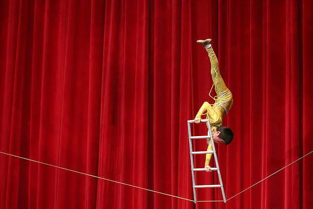 Acrobazie poetiche da non perdere
