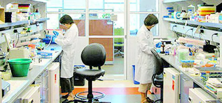 Sclerosi multipla, verso una terapia personalizzata