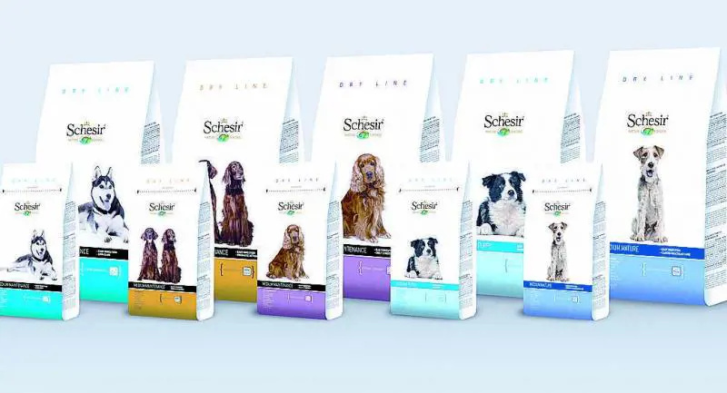 Rispetto e amore per i cani a partire dall'alimentazione
