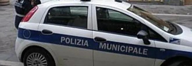 Vigilessa insultata su Facebook: i politici, e la Lucarelli, insorgono
