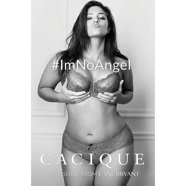 Immagine gallery