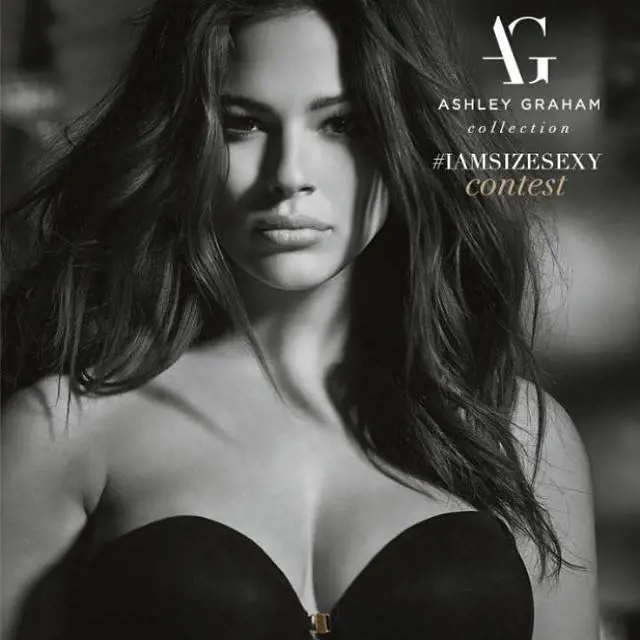 Immagine gallery