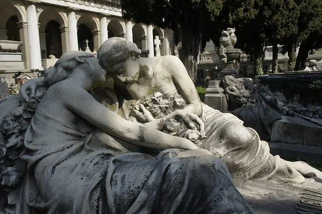 Immagine gallery