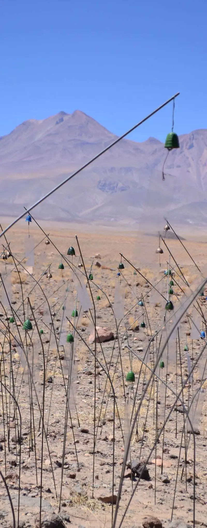 Molta teoria, pochi capolavori. È la mostra delle chiacchiere