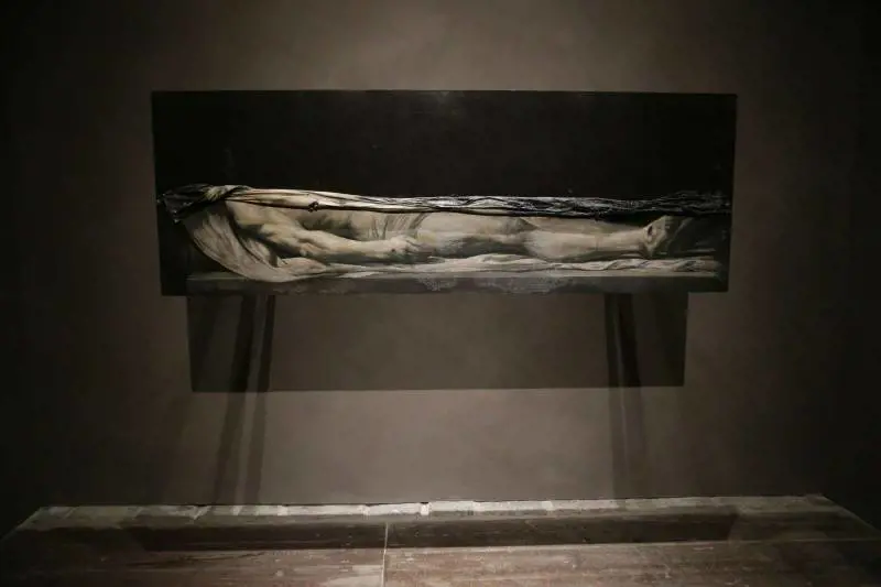 Immagine gallery