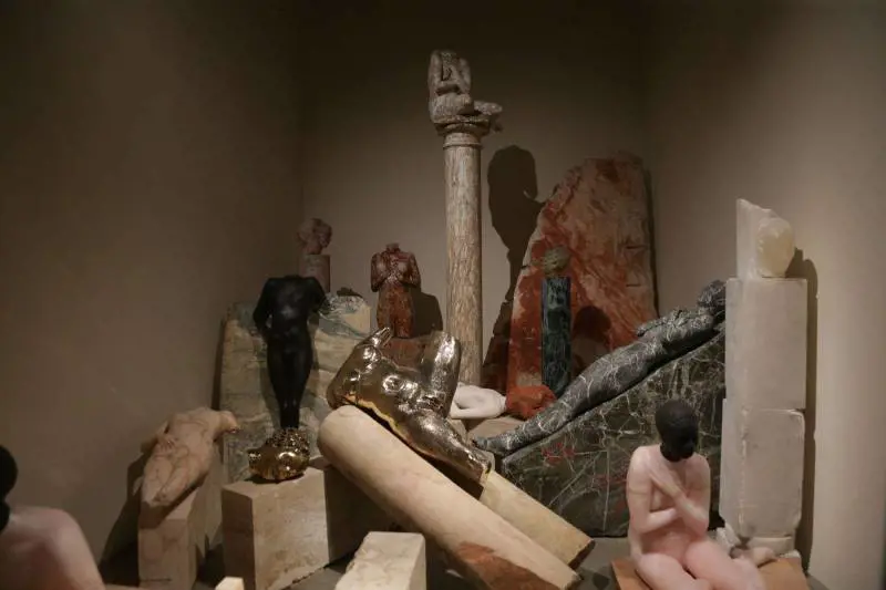 Immagine gallery