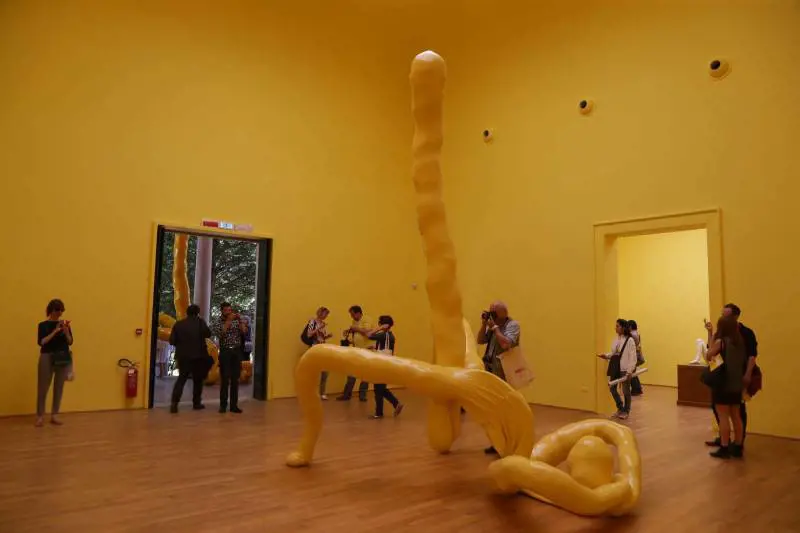 Immagine gallery