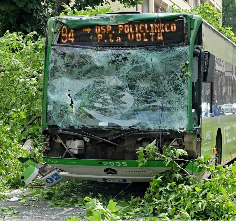 Vento e pioggia record Decine di alberi caduti E Malpensa sott'acqua