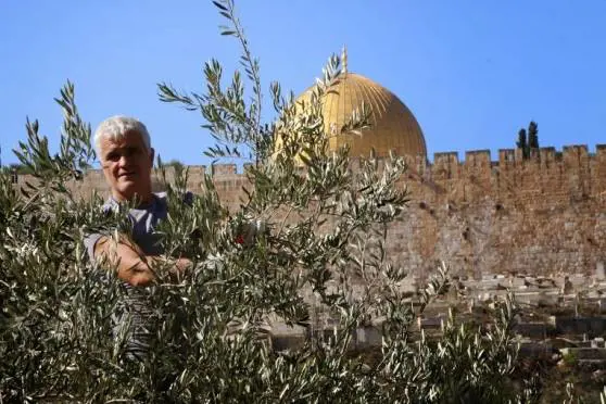 La leggenda del sacro potatore "Ho sfrondato gli ulivi di Gesù"
