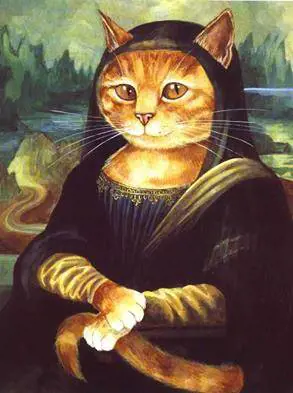 Immagine gallery