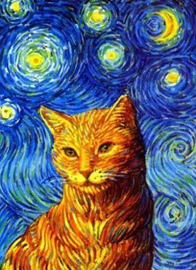 Immagine gallery