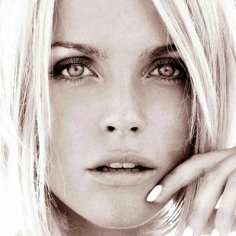 Immagine gallery
