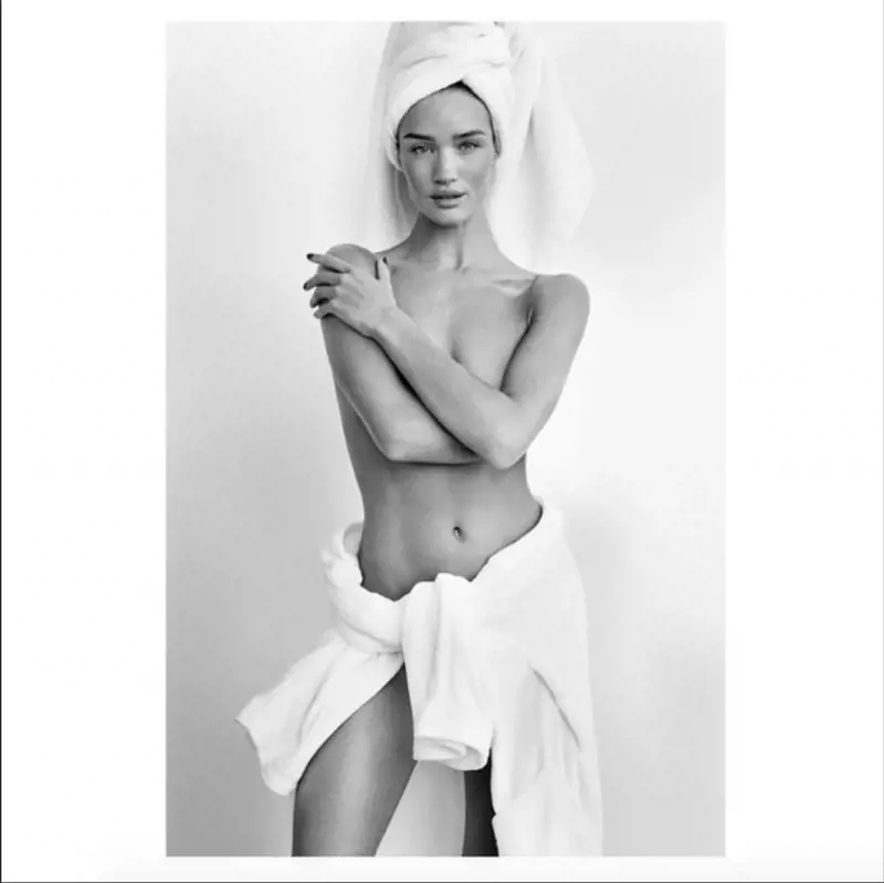 Immagine gallery