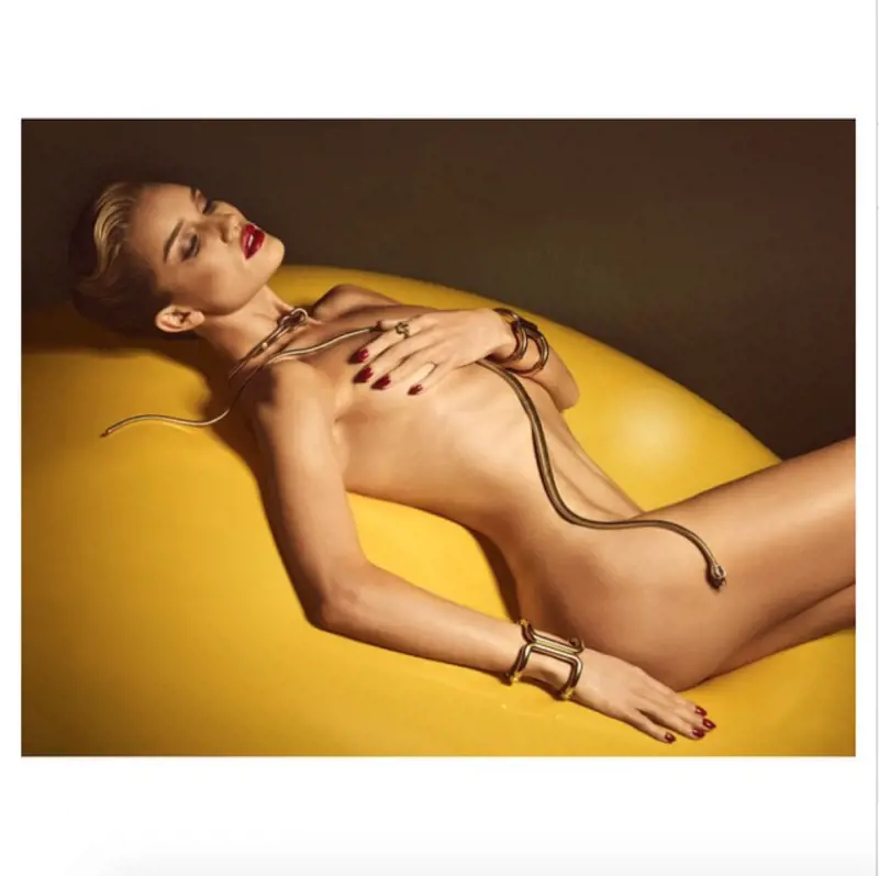 Immagine gallery
